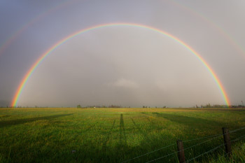 Rainbow over field